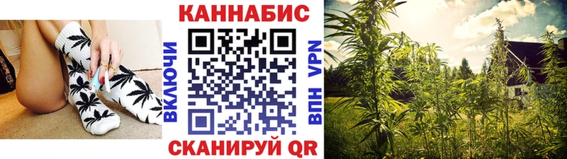 Конопля марихуана  Купить  Приозерск 